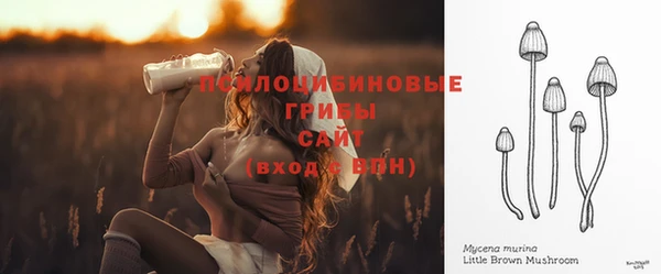 СК Балахна