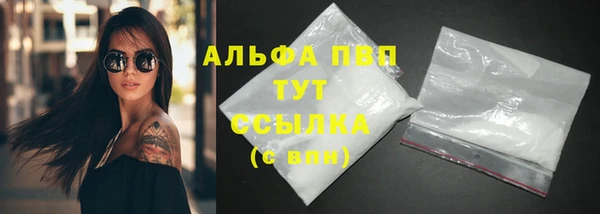 СК Балахна