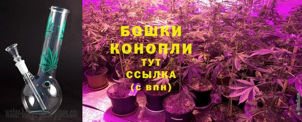 СК Балахна