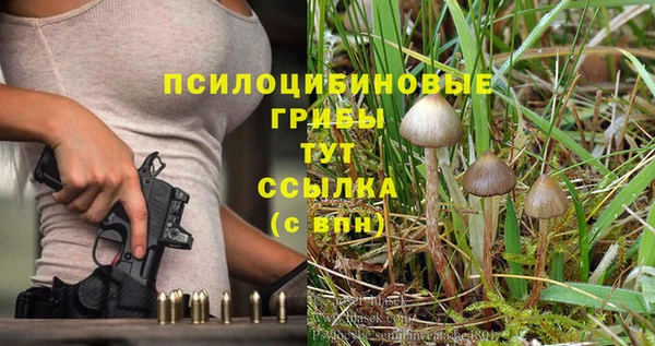 СК Балахна