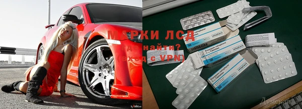 СК Балахна