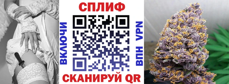 Конопля AK-47 Серафимович